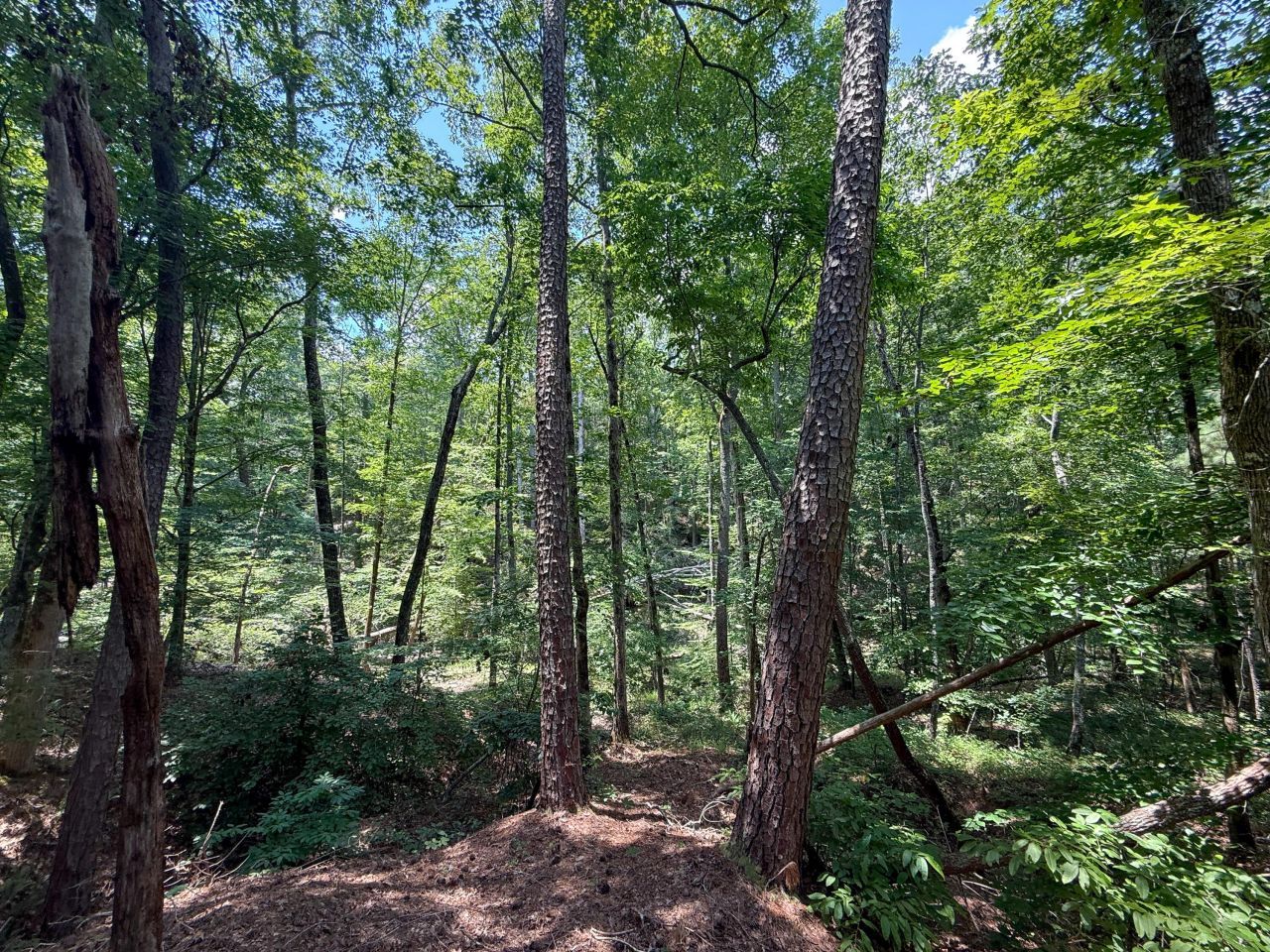 0 Buckhead Road Photo 12