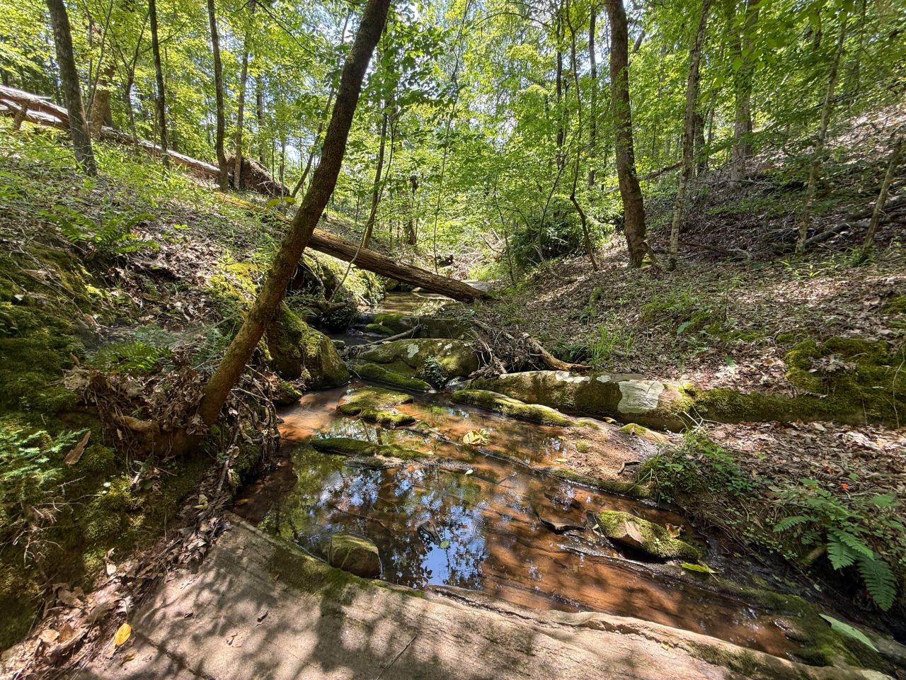 0 Buckhead Road Photo 13