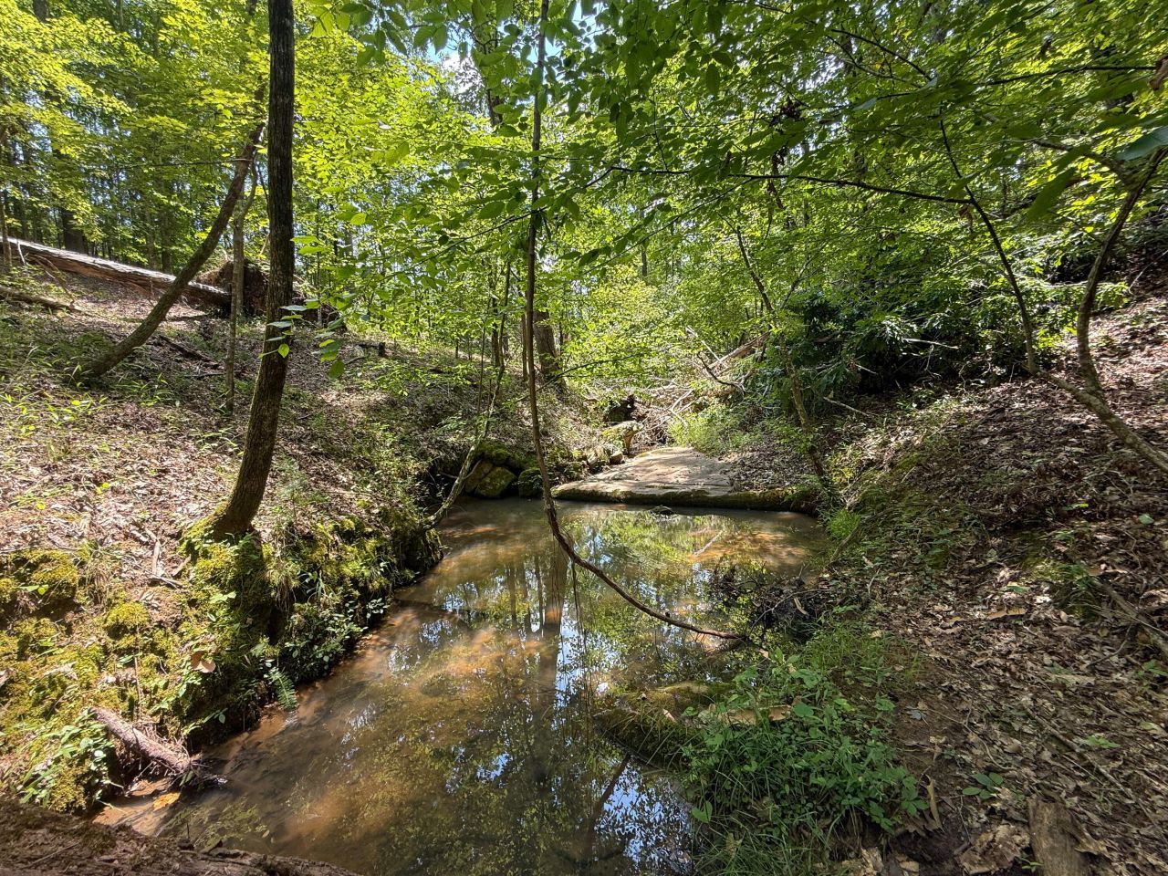 0 Buckhead Road Photo 14