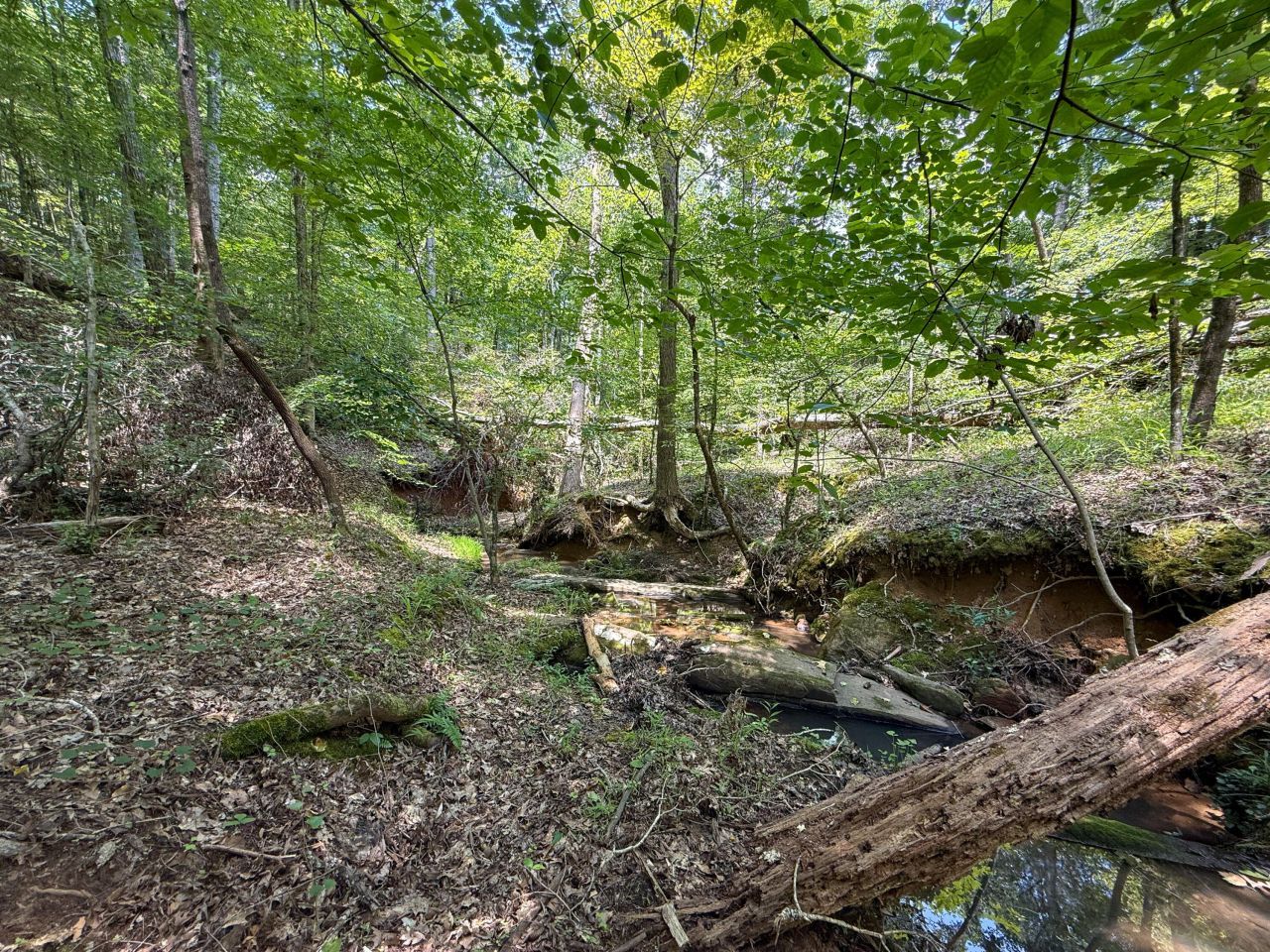 0 Buckhead Road Photo 15