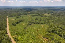 0 Buckhead Road photo 4