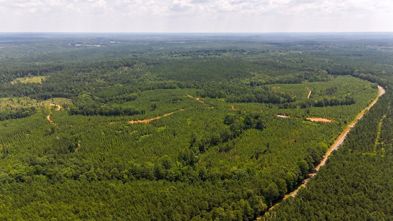 0 Buckhead Road Photo 21