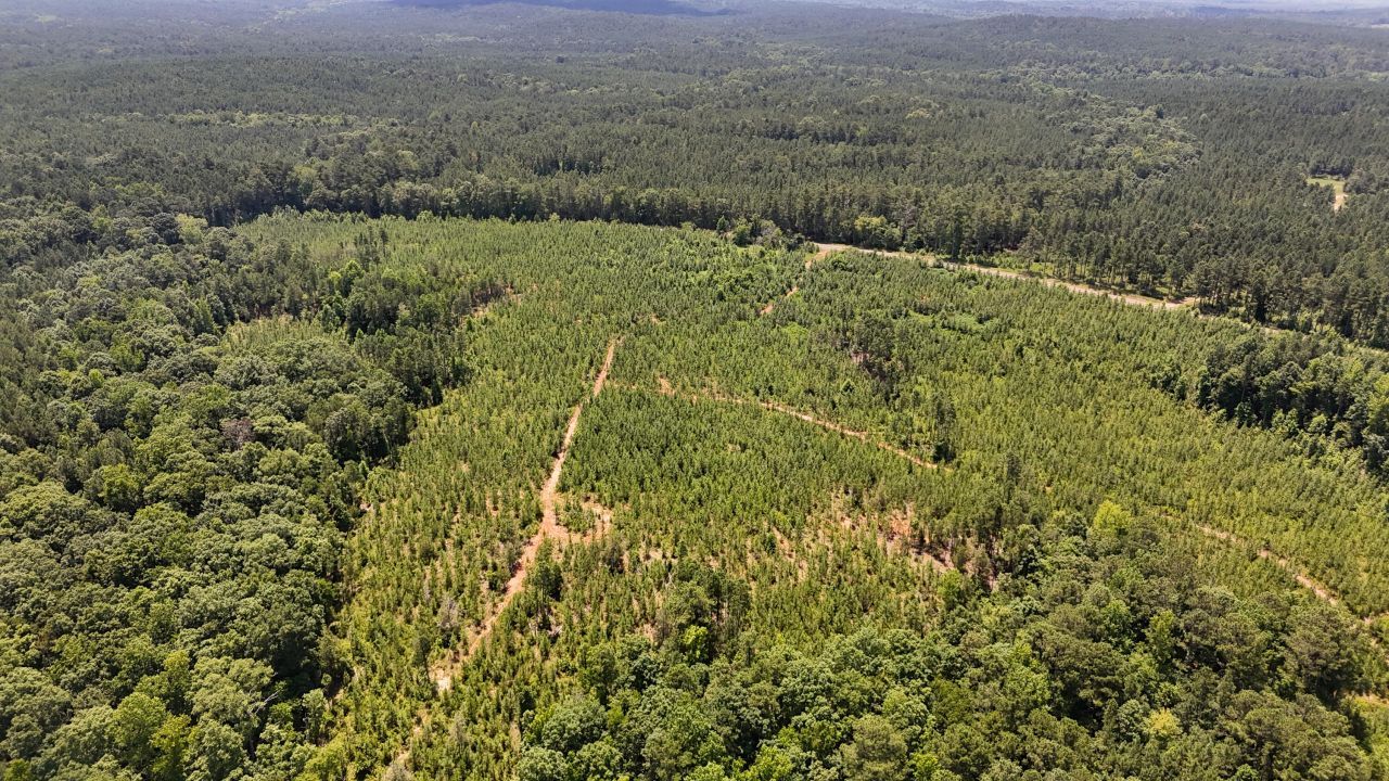 0 Buckhead Road Photo 24