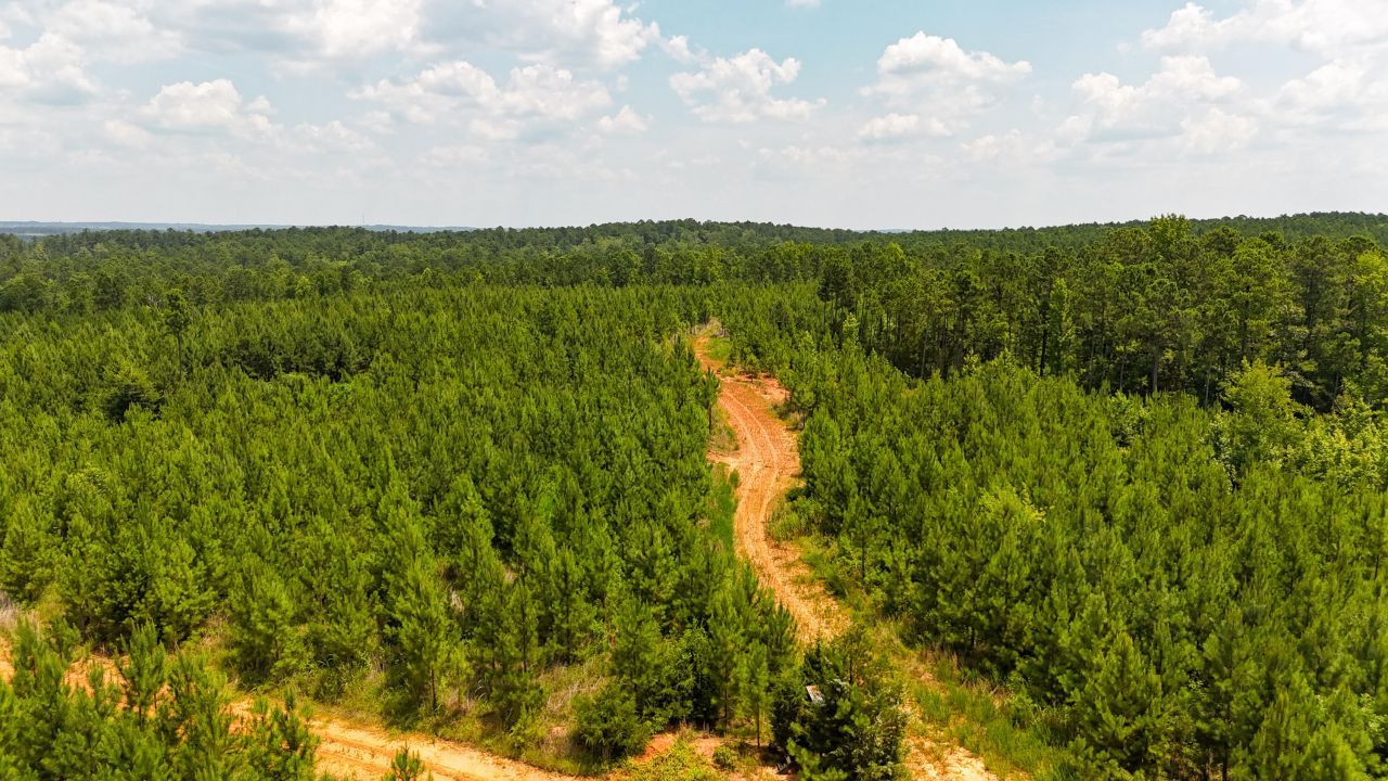 0 Buckhead Road Photo 27