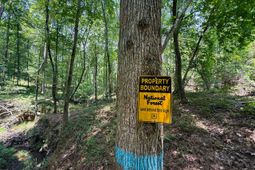 0 Buckhead Road photo 4