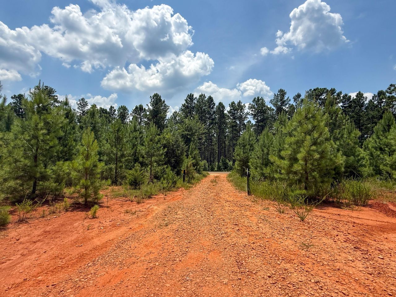 0 Buckhead Road Photo 5