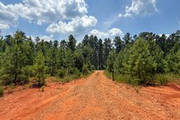 0 Buckhead Road photo 4