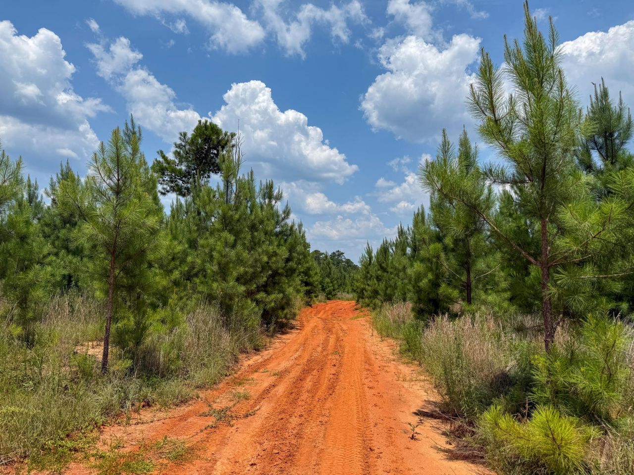 0 Buckhead Road Photo 6