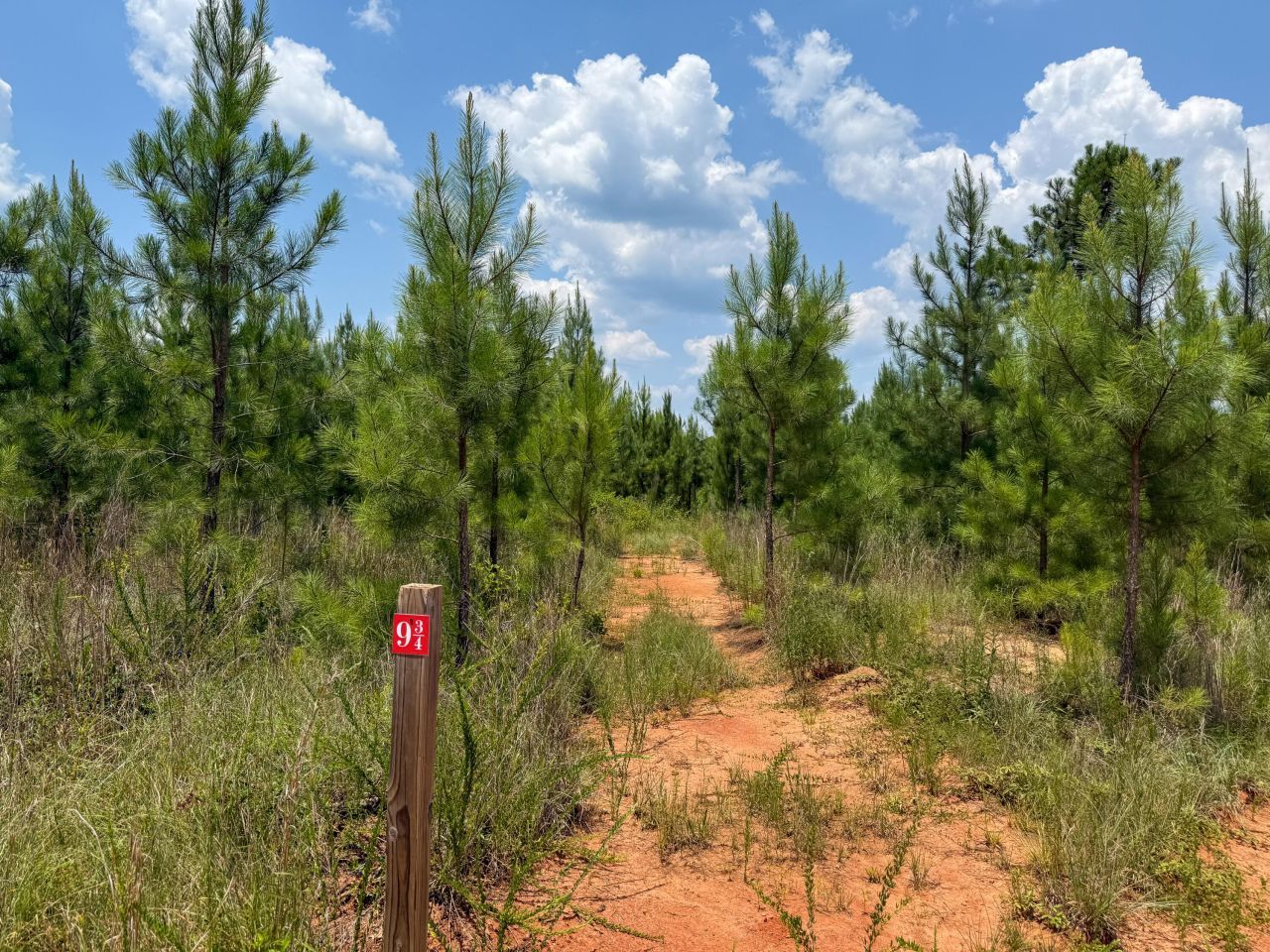 0 Buckhead Road Photo 7