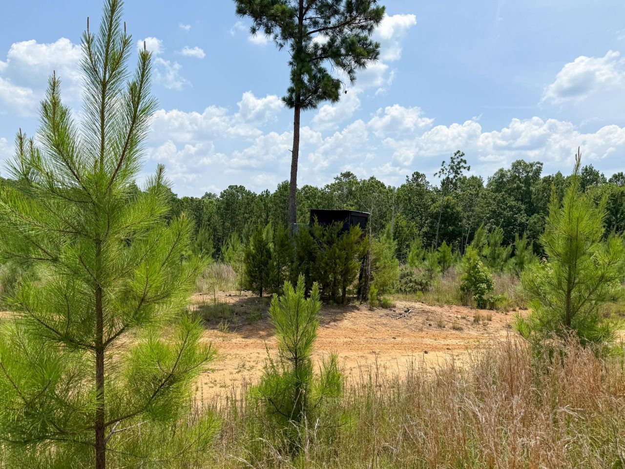 0 Buckhead Road Photo 9