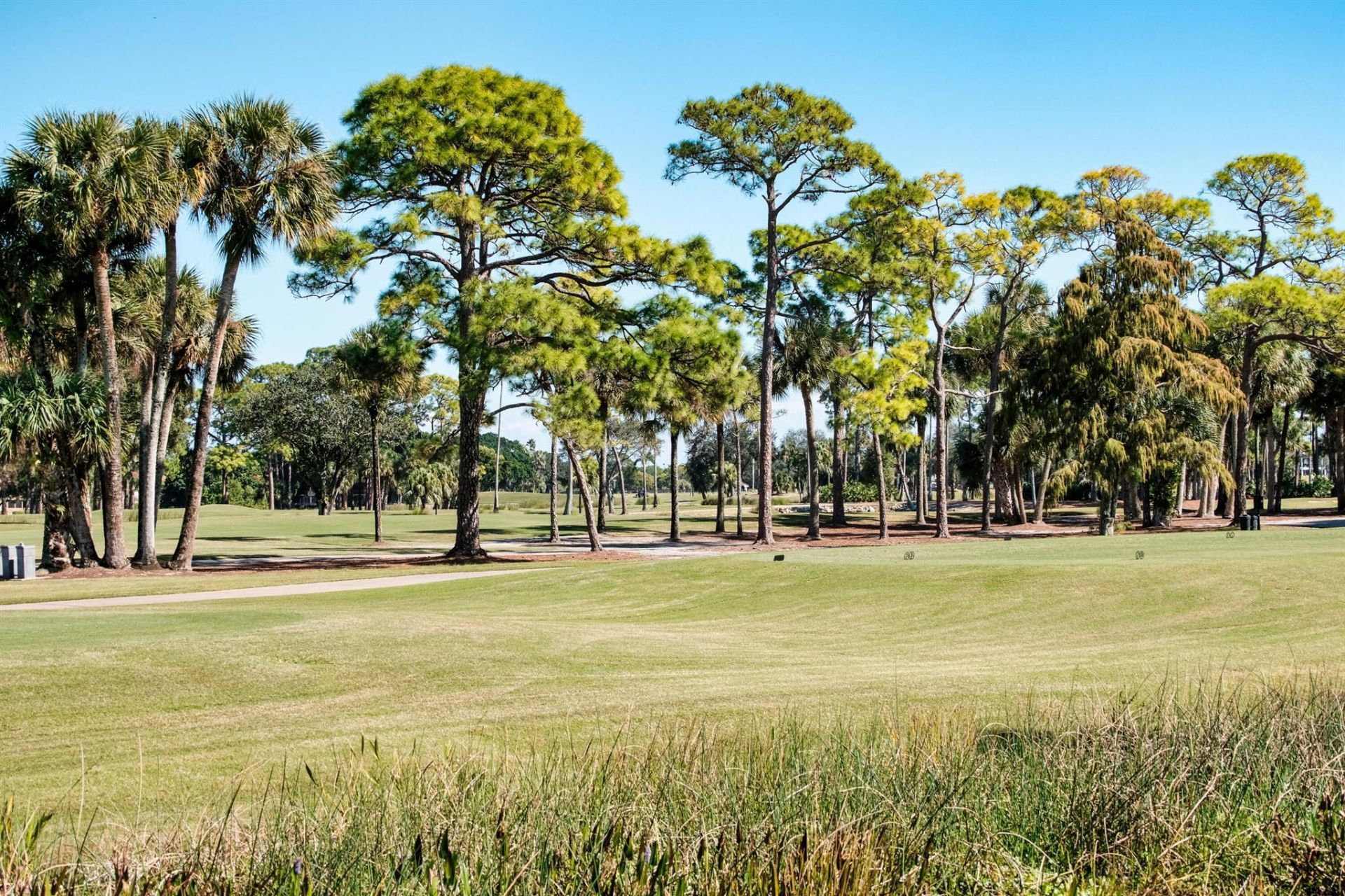 305 Ryder Cup Circle, Palm Beach Gardens, FL 33418 Photo