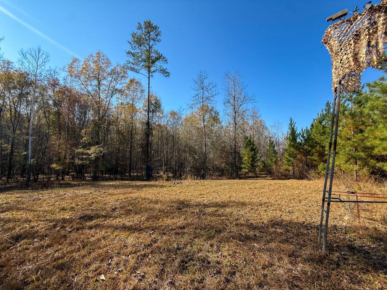 0 Mill Creek Photo 10