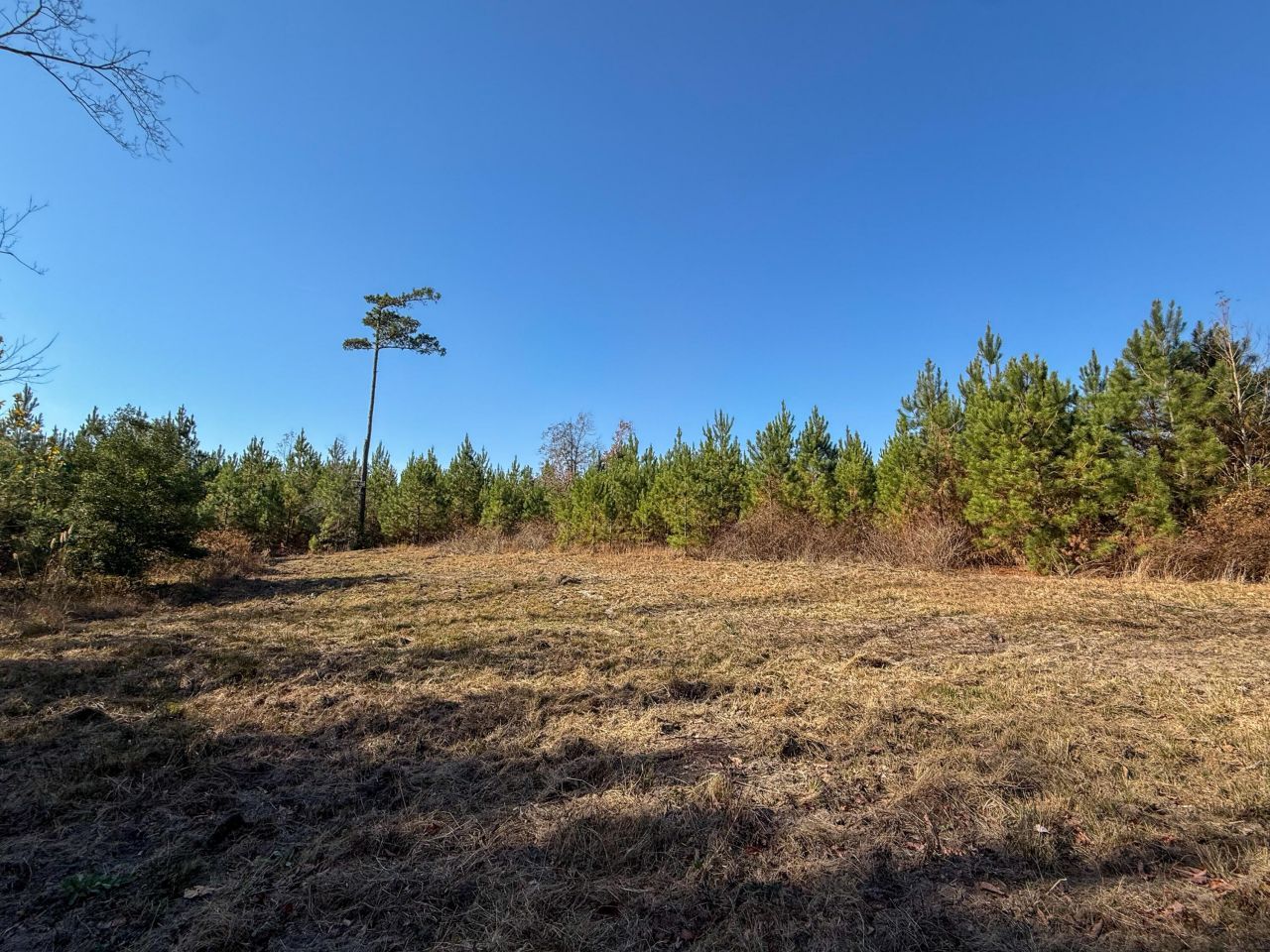 0 Mill Creek Photo 12