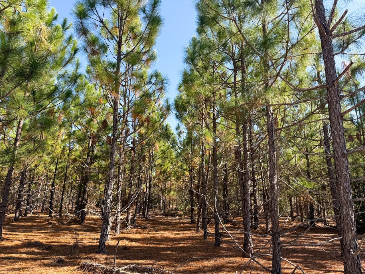 0 Mill Creek Photo 14