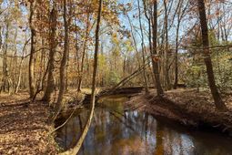 0 Mill Creek photo 4