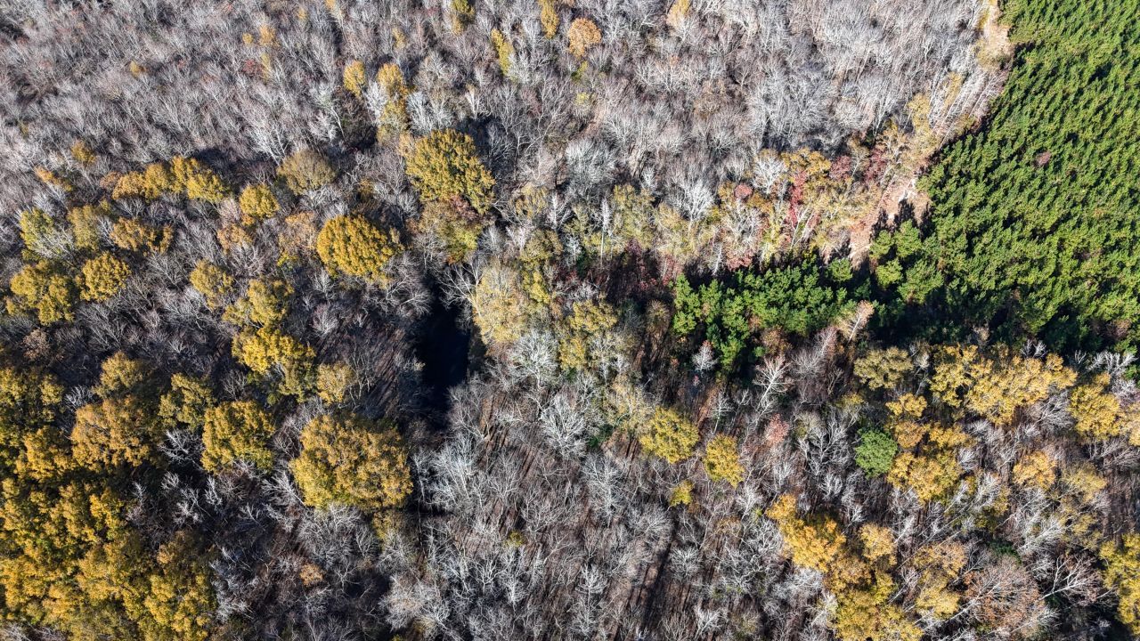 0 Mill Creek Photo 20