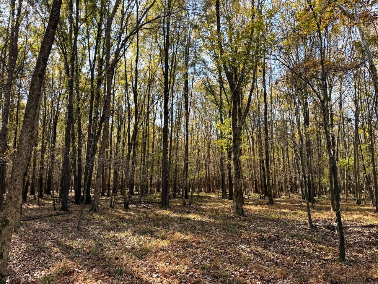 0 Mill Creek Photo 6