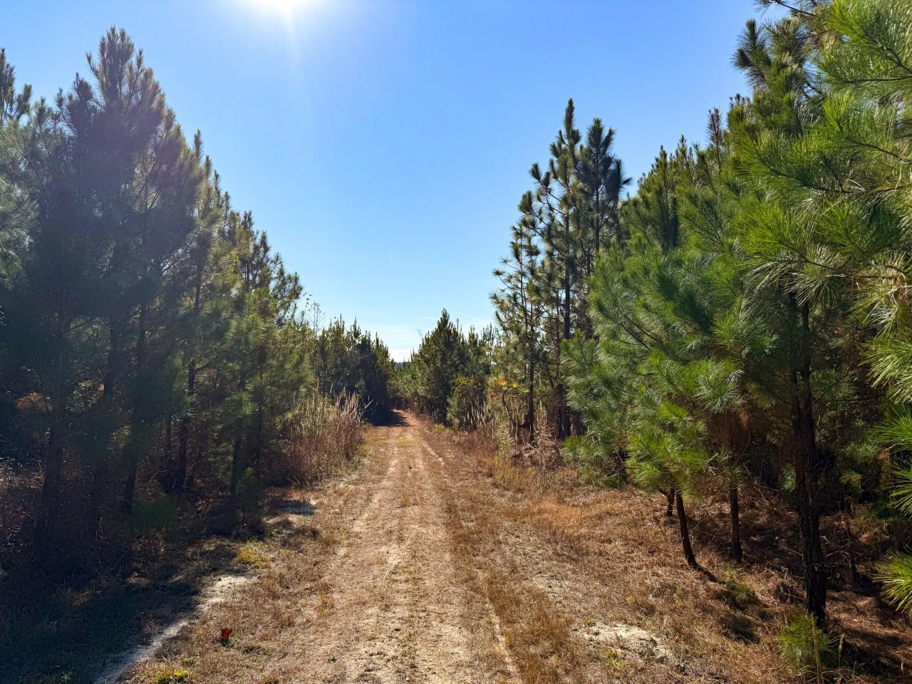 0 Mill Creek Photo 7