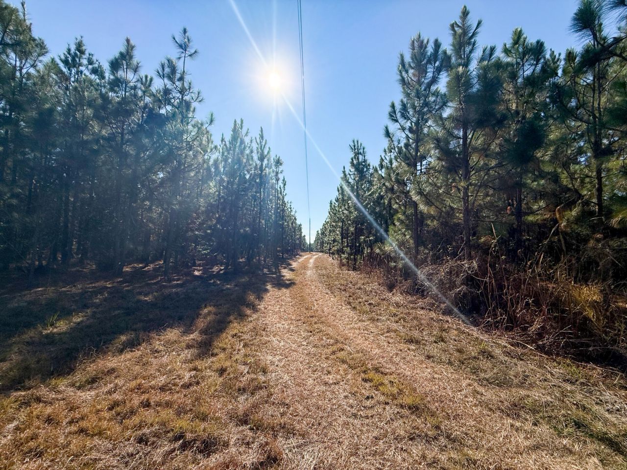 0 Mill Creek Photo 8