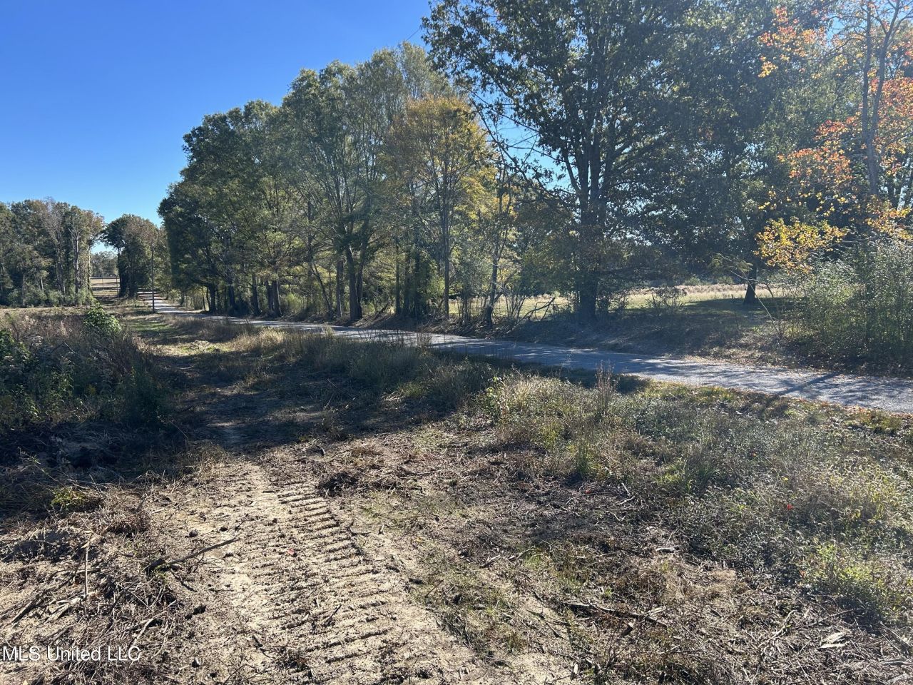 Warren Cook Road, Mendenhall, MS 39114 Main Photo