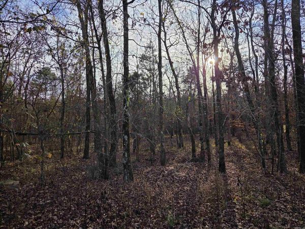 16 Mujeres Lane, Hot Springs Village, AR 71909