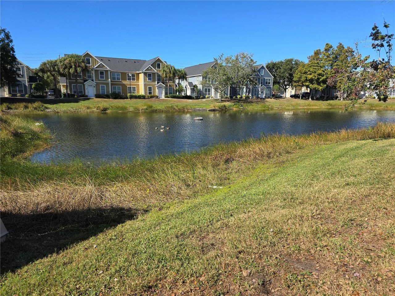 5601 Rosehill Road, Unit 203, Sarasota, FL 34233 Photo