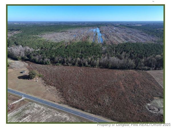 Wire Grass Road, Orrum, NC 28369