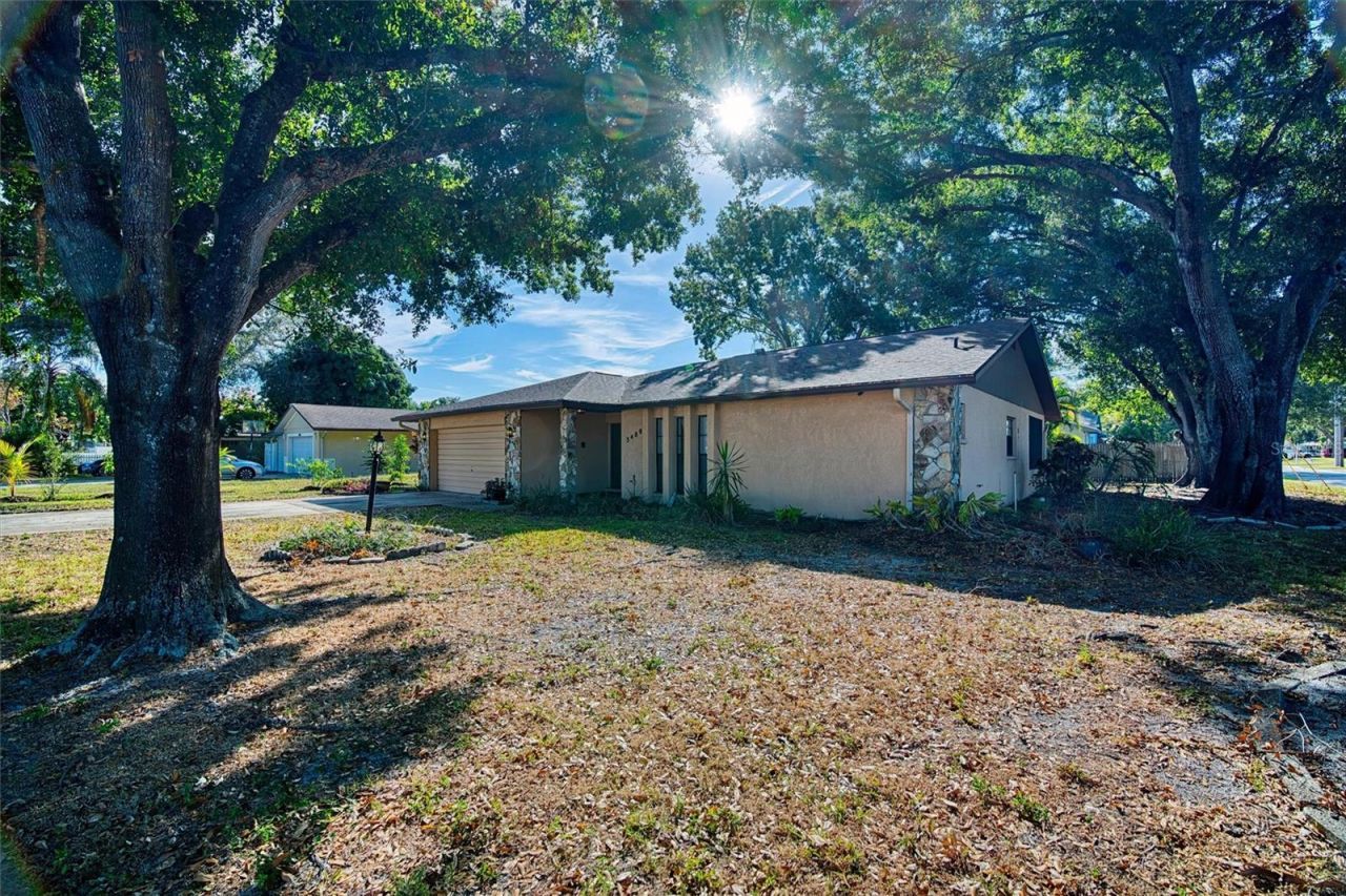 3480 16th Avenue N, Saint Petersburg, FL 33713 Photo