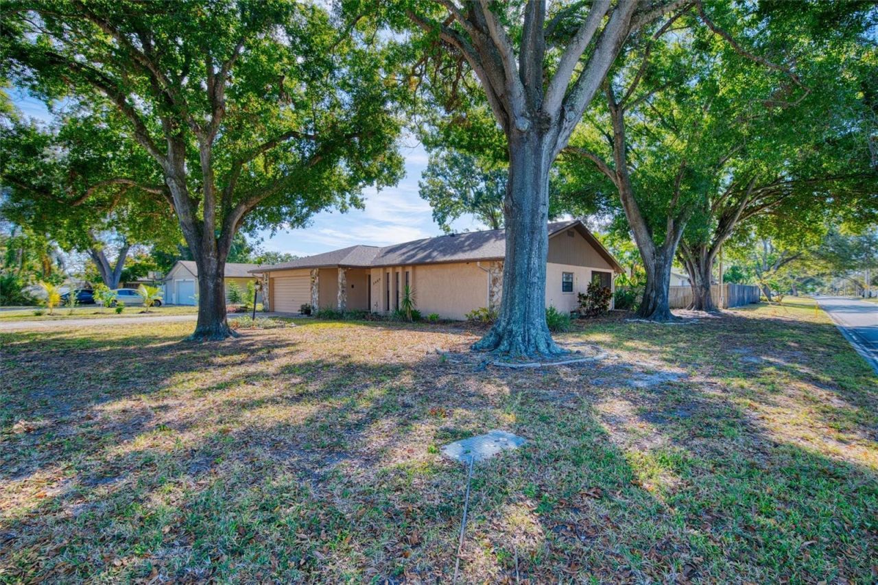 3480 16th Avenue N, Saint Petersburg, FL 33713 Photo