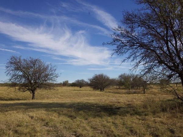 6172 FM 1769, Graham, TX 76450