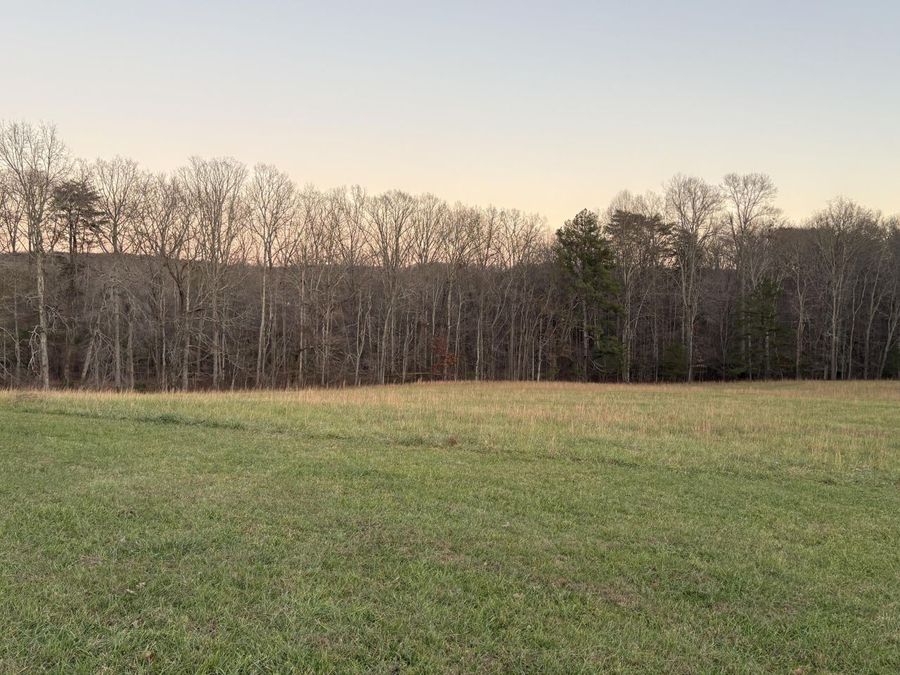 Property Image 62
