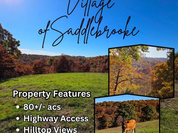 000 State Highway Bb , Saddlebrooke, MO 65630