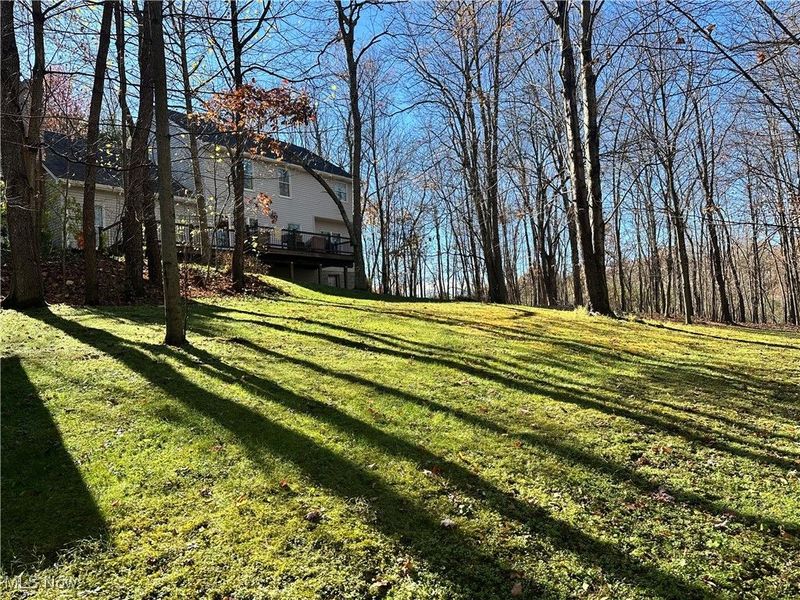 49698 Parkview Drive, East Liverpool, OH 43920 Photo 10