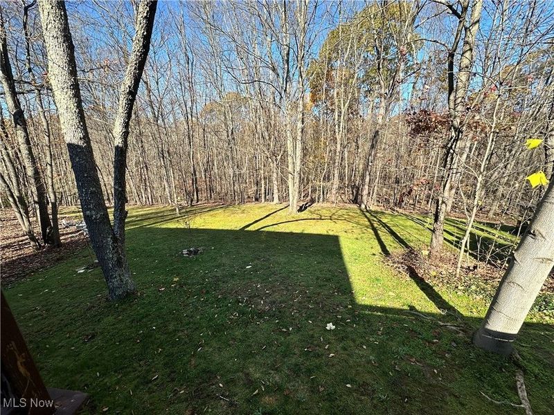 49698 Parkview Drive, East Liverpool, OH 43920 Photo 11