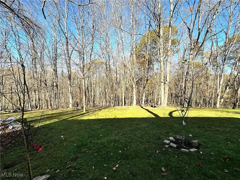 49698 Parkview Drive, East Liverpool, OH 43920 Photo 12