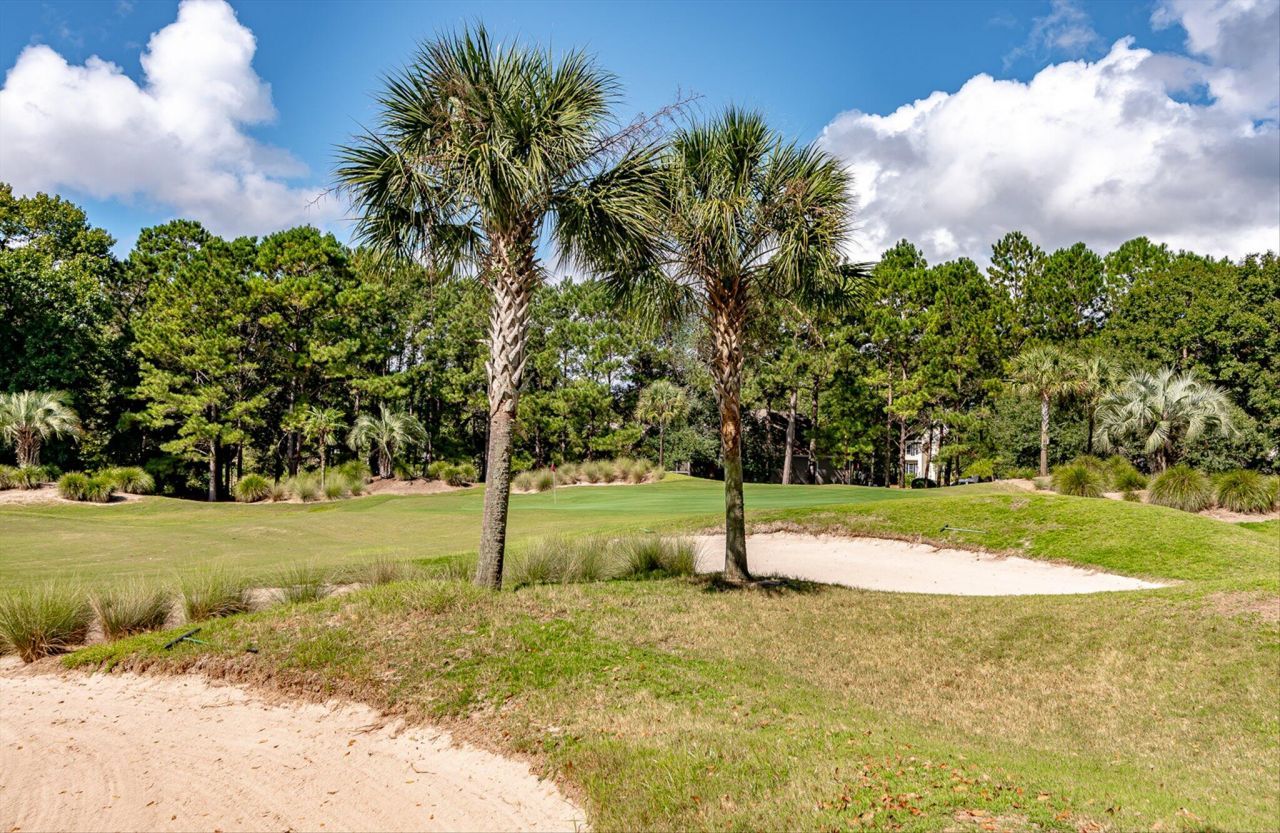 3149 Linksland Road Photo 77