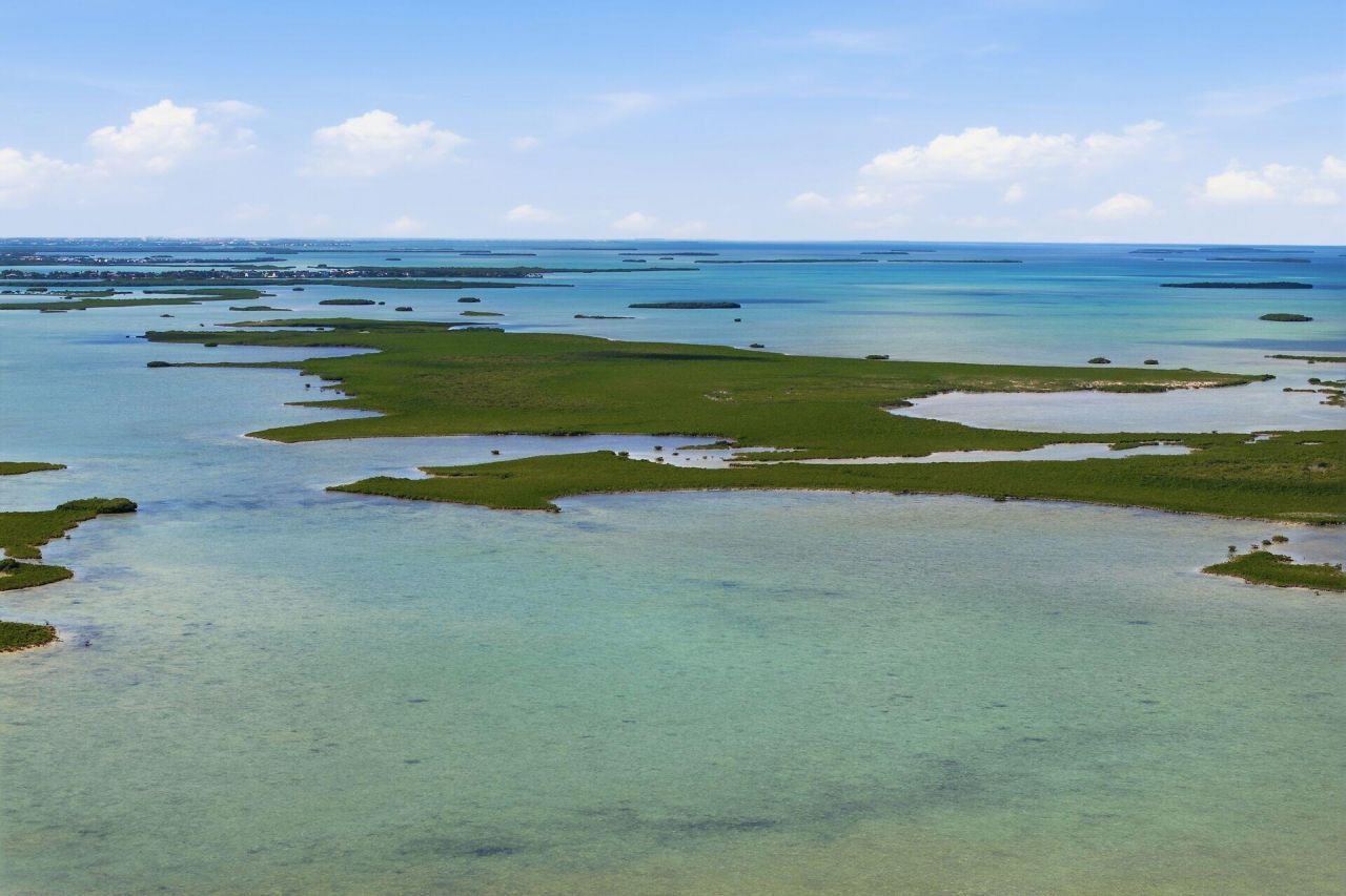 14 67 26 Saddlebunch Key, Saddle Bunch, FL 33040 Photo