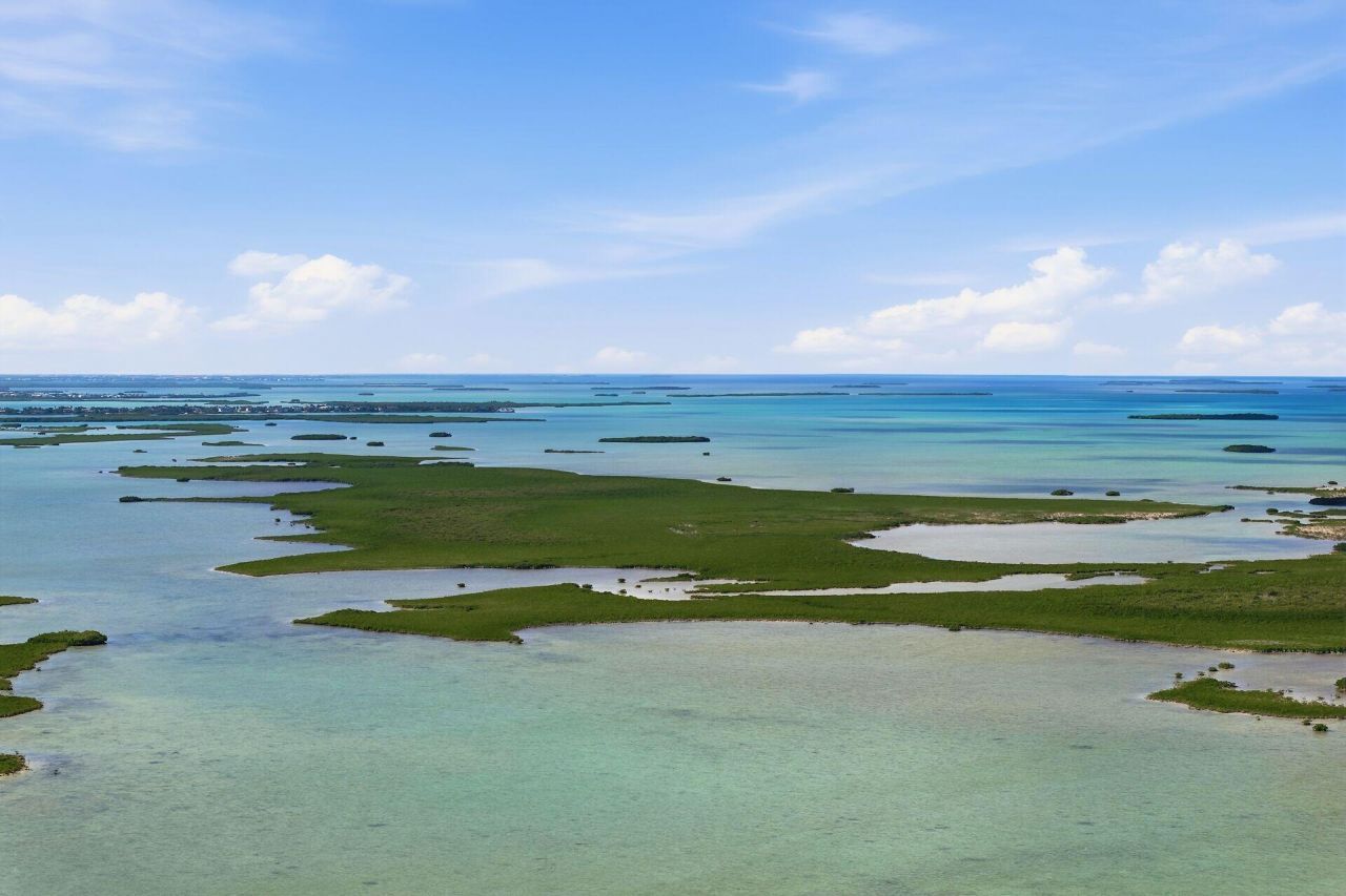 14 67 26 Saddlebunch Key, Saddle Bunch, FL 33040 Photo