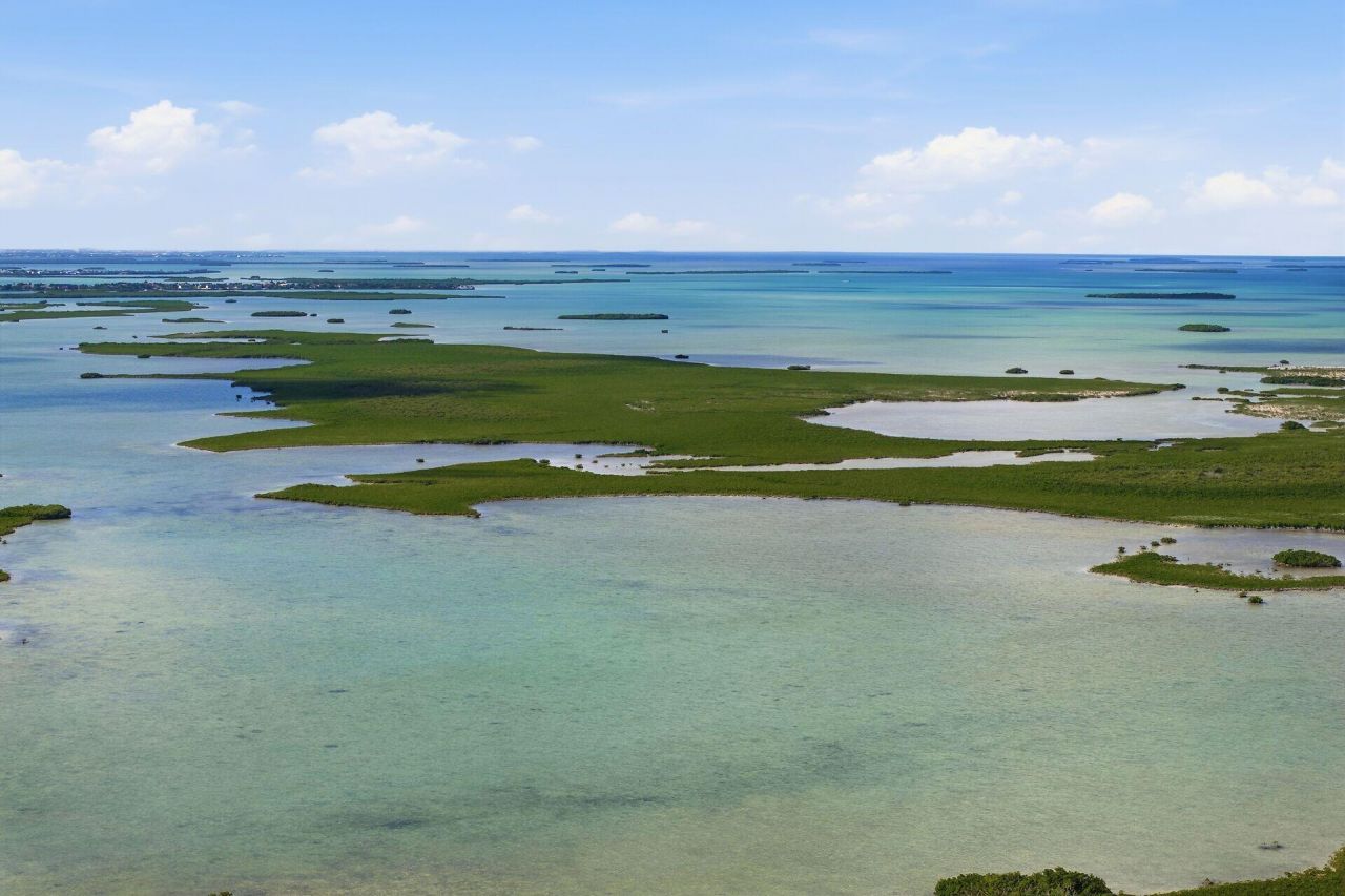 14 67 26 Saddlebunch Key, Saddle Bunch, FL 33040 Photo