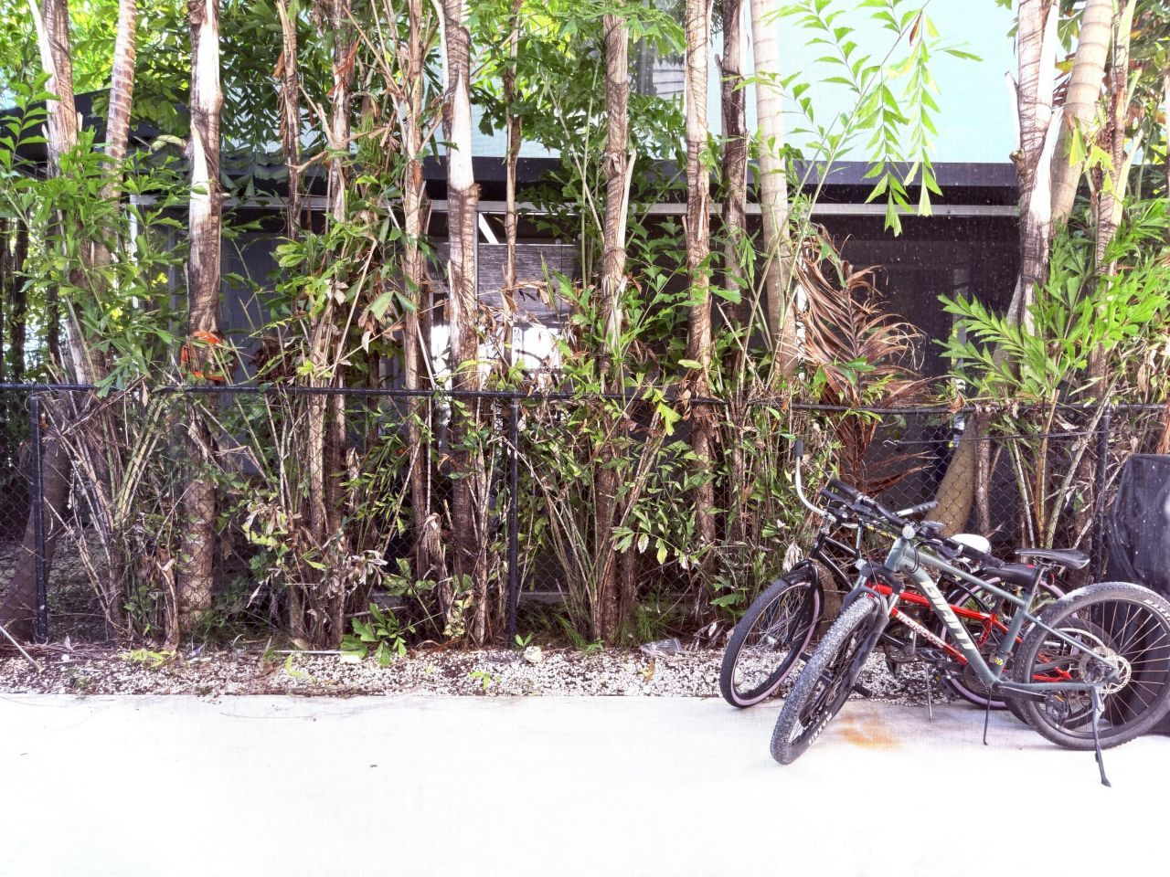 15 Lakeview Drive, Key Largo, FL 33037 Photo