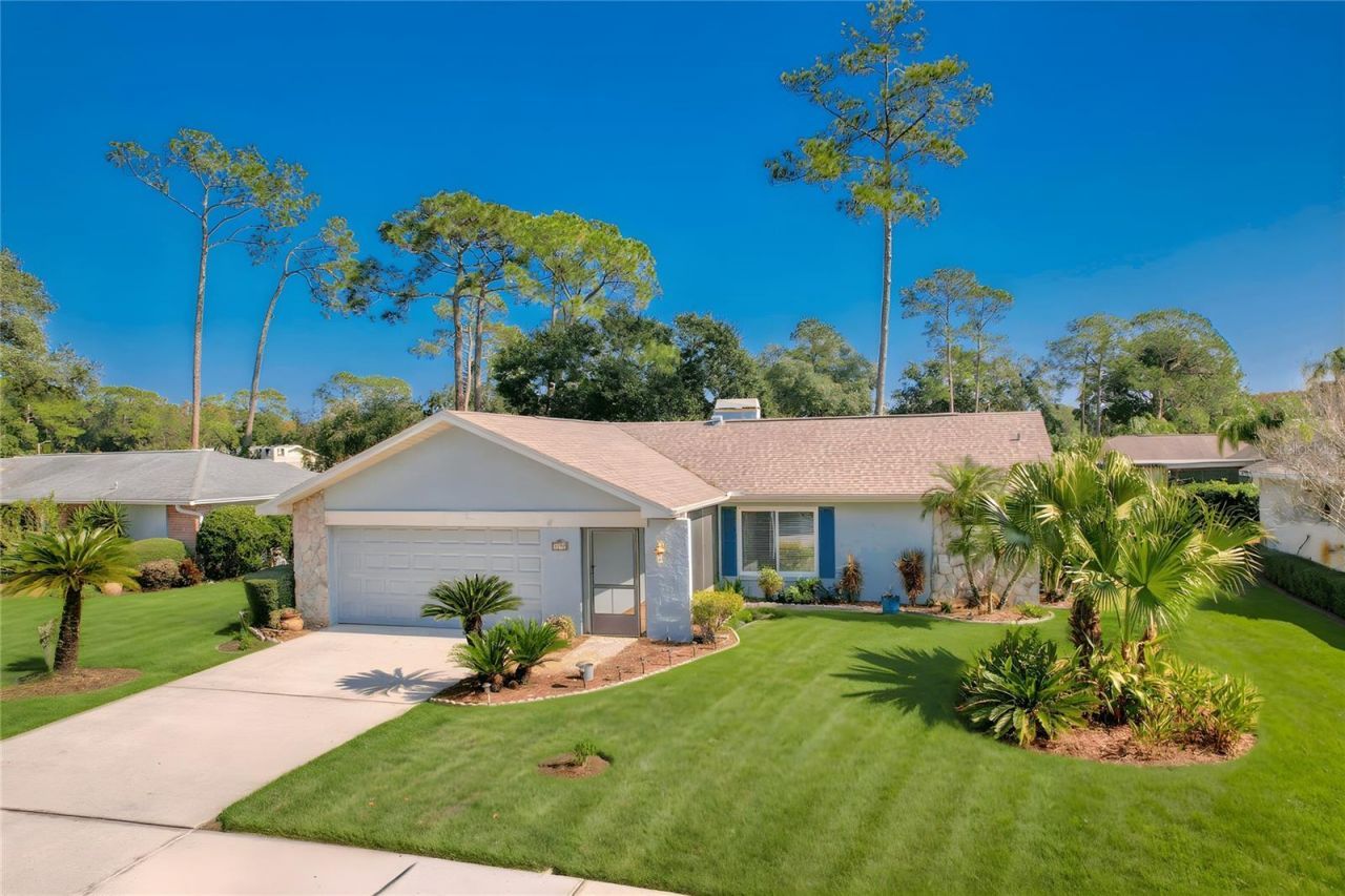 3592 Fairway Forest Drive, Palm Harbor, FL 34685 Main Photo