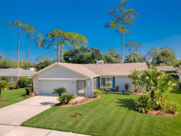 3592 FAIRWAY FOREST DRIVE, PALM HARBOR, FL 34685