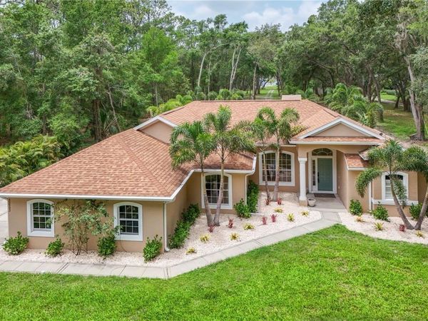 33943 E LAKE JOANNA DRIVE, EUSTIS, FL 32736