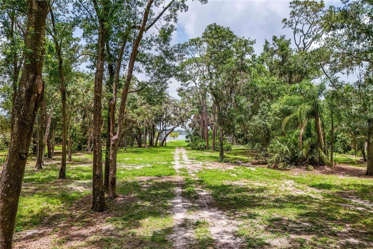 33943 E Lake Joanna Drive, Eustis, FL 32736 Photo