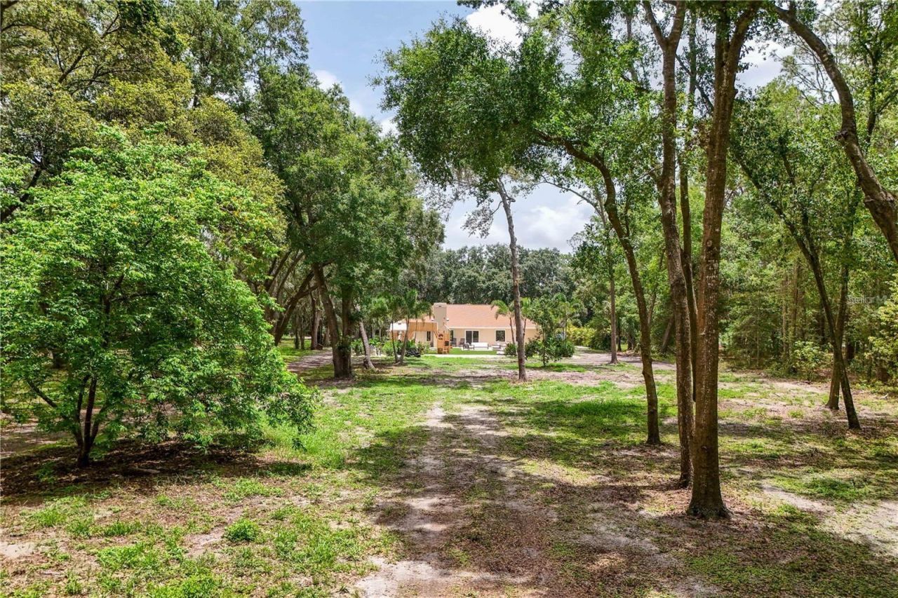 33943 E Lake Joanna Drive, Eustis, FL 32736 Photo