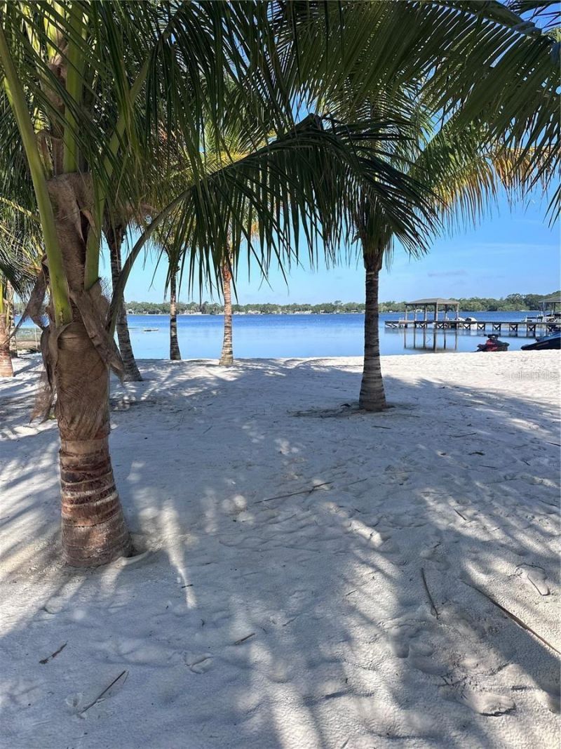 33943 E Lake Joanna Drive, Eustis, FL 32736 Photo