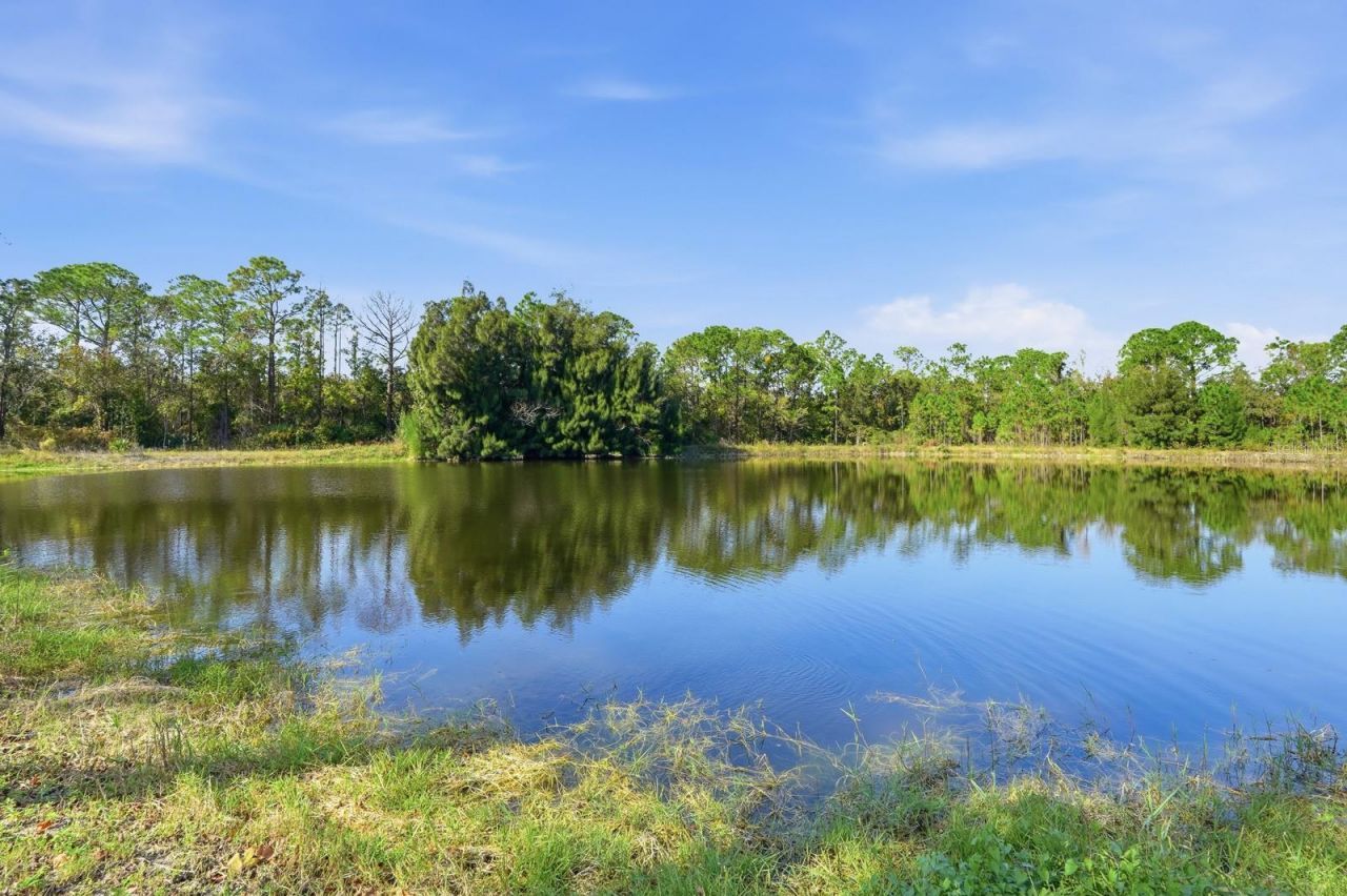 270 Wright Grove Road, Oak Hill, FL 32759 Photo