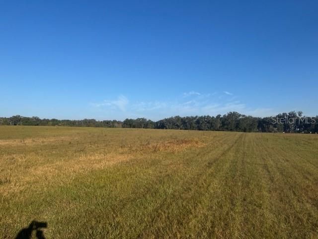 Tbd NW 100th Street, Ocala, FL 34475 Photo