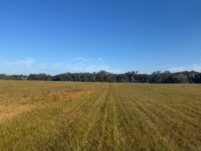 Tbd NW 100th Street, Ocala, FL 34475 Photo