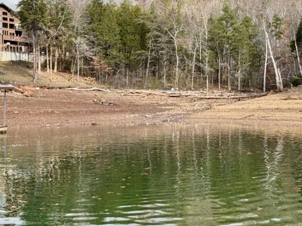 Bridle Way, Speedwell, TN 37870